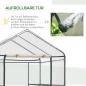 Preview: foliengewaechshaus-begehbares-gartenhaeuschen-tomatengewaechshaus-treibhaus-fruehbeet-mit-6-regalen-transparent-stahl-pvc-kunststoff-143x143x195cm