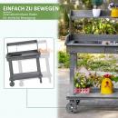 Mobile Preview: pflanztisch-mit-schublade-2-stufen-gaertnertisch-mit-waschbecken-und-rollen-garten-tannenholz-grau-92x45x119cm